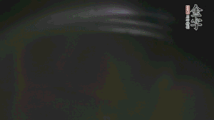 剝去外殼的筍、切花刀的香菇、豌豆入沸水焯水。