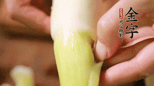 茭白剝?nèi)ネ鈿?，先切片再切絲。