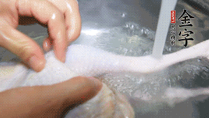 土雞處理干凈。（如果買不到土雞，一般的雞也是可以的，不過需要汆水。溫水下鍋汆燙7分鐘左右，汆燙時(shí)需要適時(shí)翻動(dòng)。汆燙雞肉是為了去掉生腥味，也是一次徹底清潔的過程，可以使燉出的湯清爽而不渾濁，鮮香而無異味）