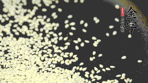 生芝麻炒至出香味，呈現(xiàn)略微金黃色。（不用加油，小火慢慢地煸炒，用手捻一下就能捻碎就說明炒熟了。）