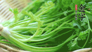 挑選鮮嫩的香菜，洗干凈后，處理成小段。