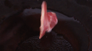 鍋中倒入橄欖油燒熱，放入淡火腿小火煸炒至打卷狀態(tài)。