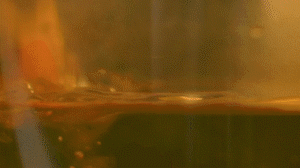 雞肉、鹽、料酒入冷水鍋水開后撇去浮沫，溫水洗凈。