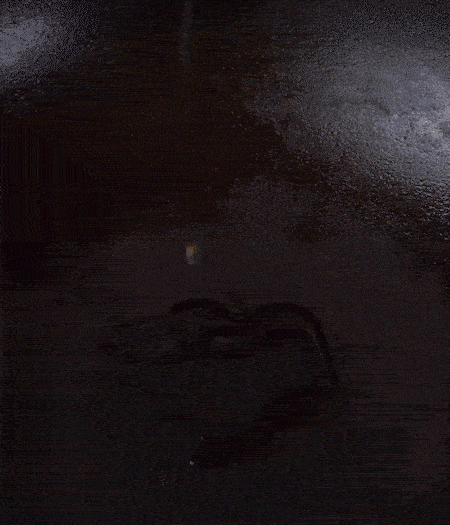 冷鍋熱油，下蒜片爆香，下香腸、玉米筍、蓮藕、西芹爆炒，期間加點水，翻炒1分鐘后加新鮮百合片，翻炒30秒。