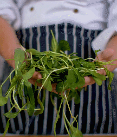 馬蘭頭焯水，切成細(xì)末。