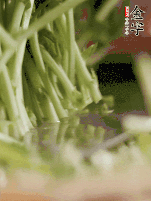 新鮮豌豆苗割下洗凈。